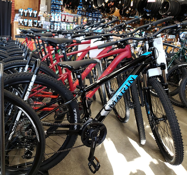 The Outer Rim Bicycle Shop gallery image 1
