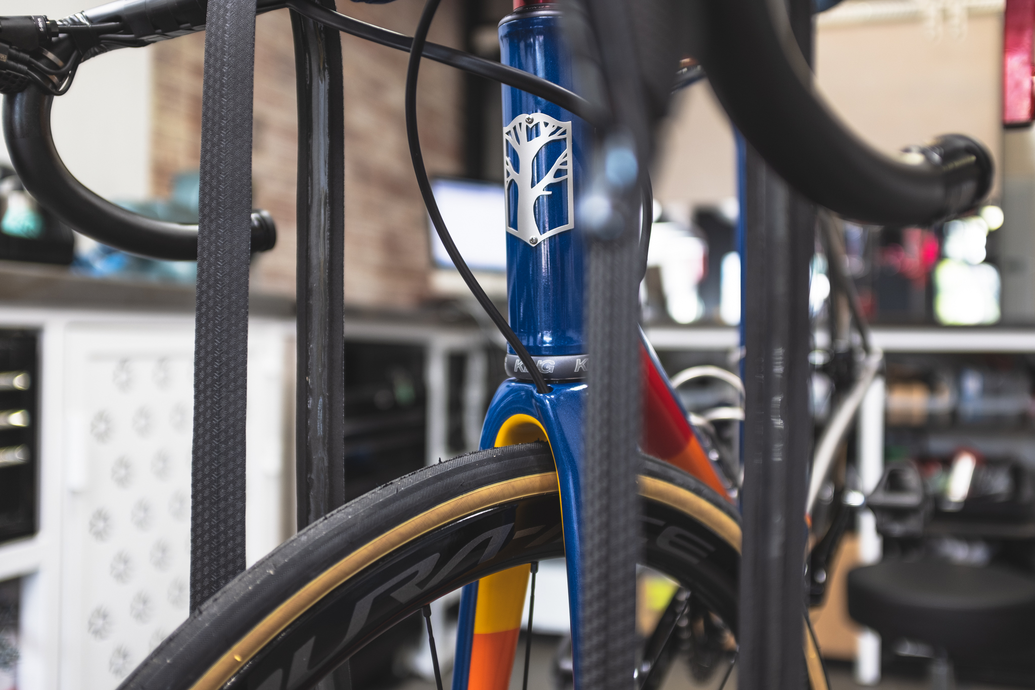 Bicycle Speed Shop in Bellaire