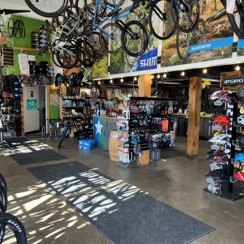 Bicycle Express in Campbell
