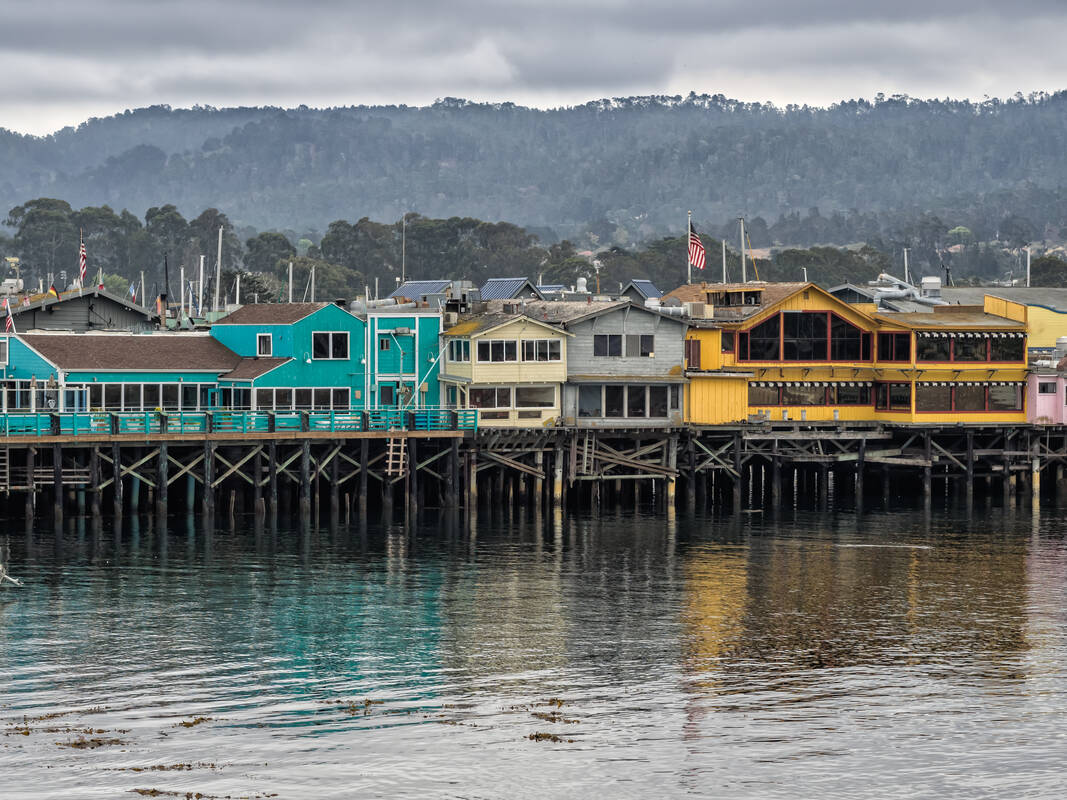 Adventures By The Sea Downtown Fishermans Wharf gallery image 2