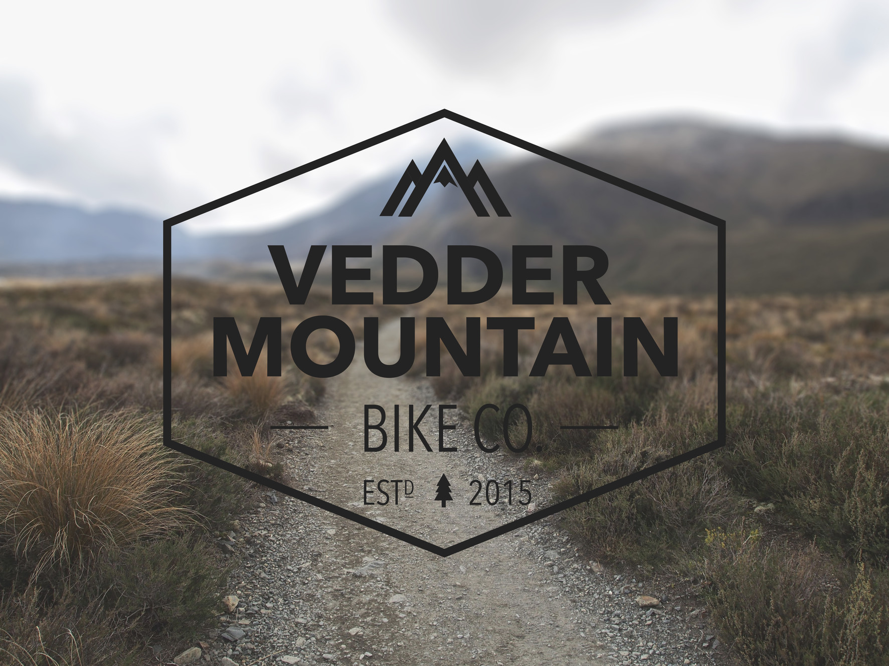Vedder Mountain Bike Co. in Chilliwack