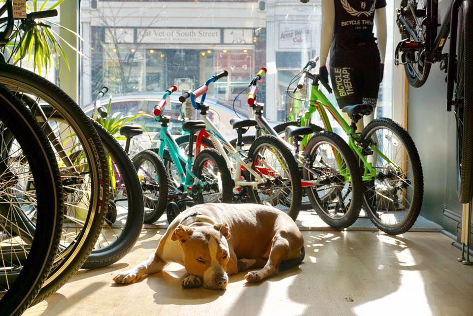 Bike Therapy in Crows Landing