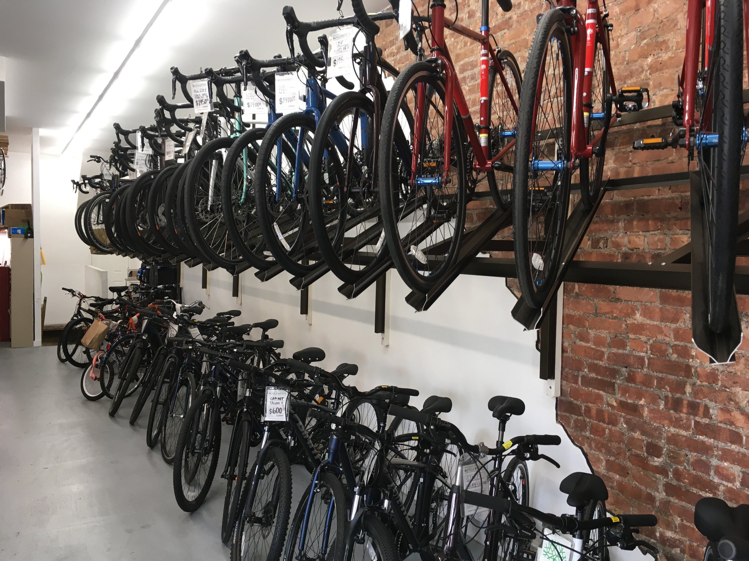 Bicycle Roots gallery image 2