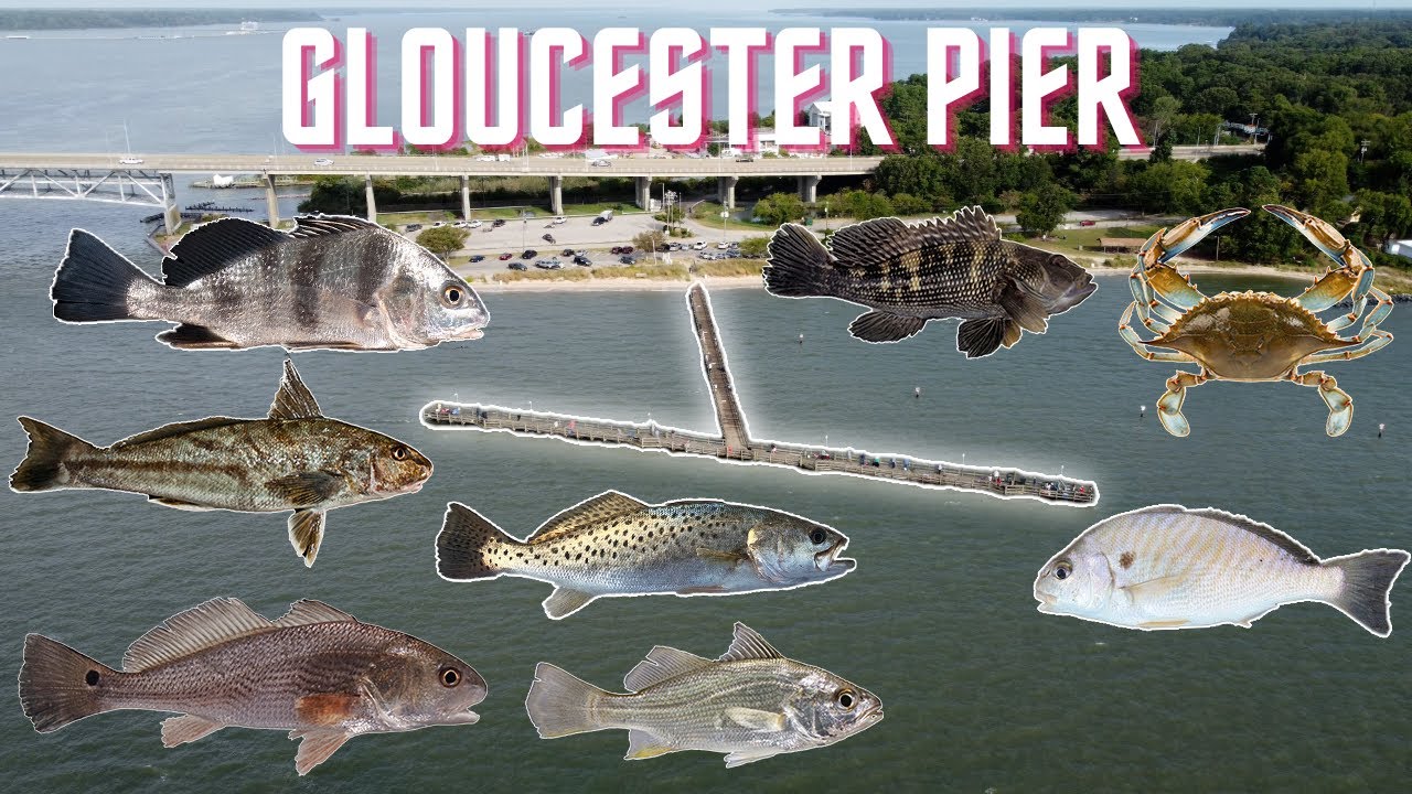 N & Out Fishing & Hunting gallery image 1
