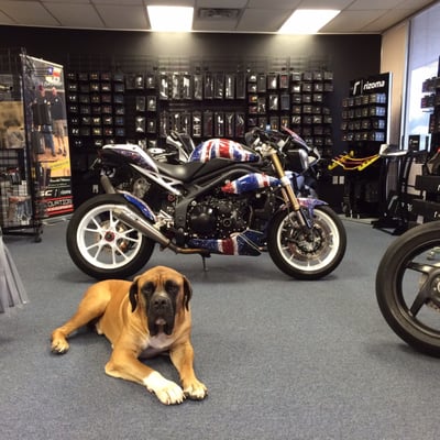 Motovation Accessories in Jollyville