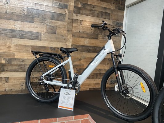 Black Rock Electric Bikes Laguna Niguel Sales, Service & Mobile Repair in Laguna Niguel