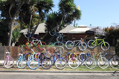 The Bicycle Whisperer in Marina del Rey