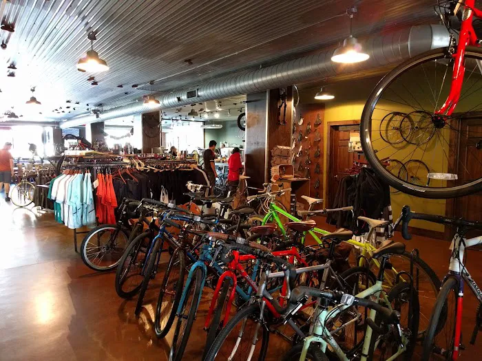Angry Catfish Bicycle gallery image 1