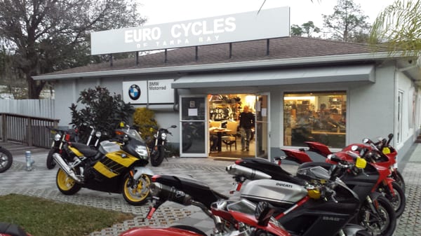 Euro Cycles of Tampa Bay in Odessa