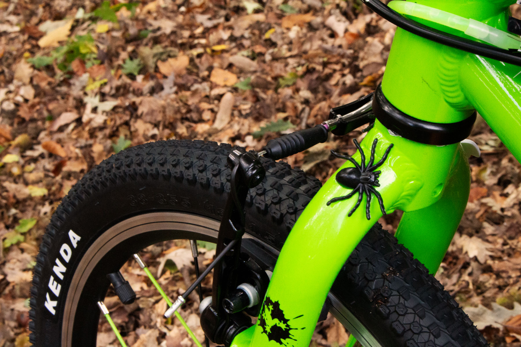 Freedom Bike Works / Fat Frogs Bikes in Painter