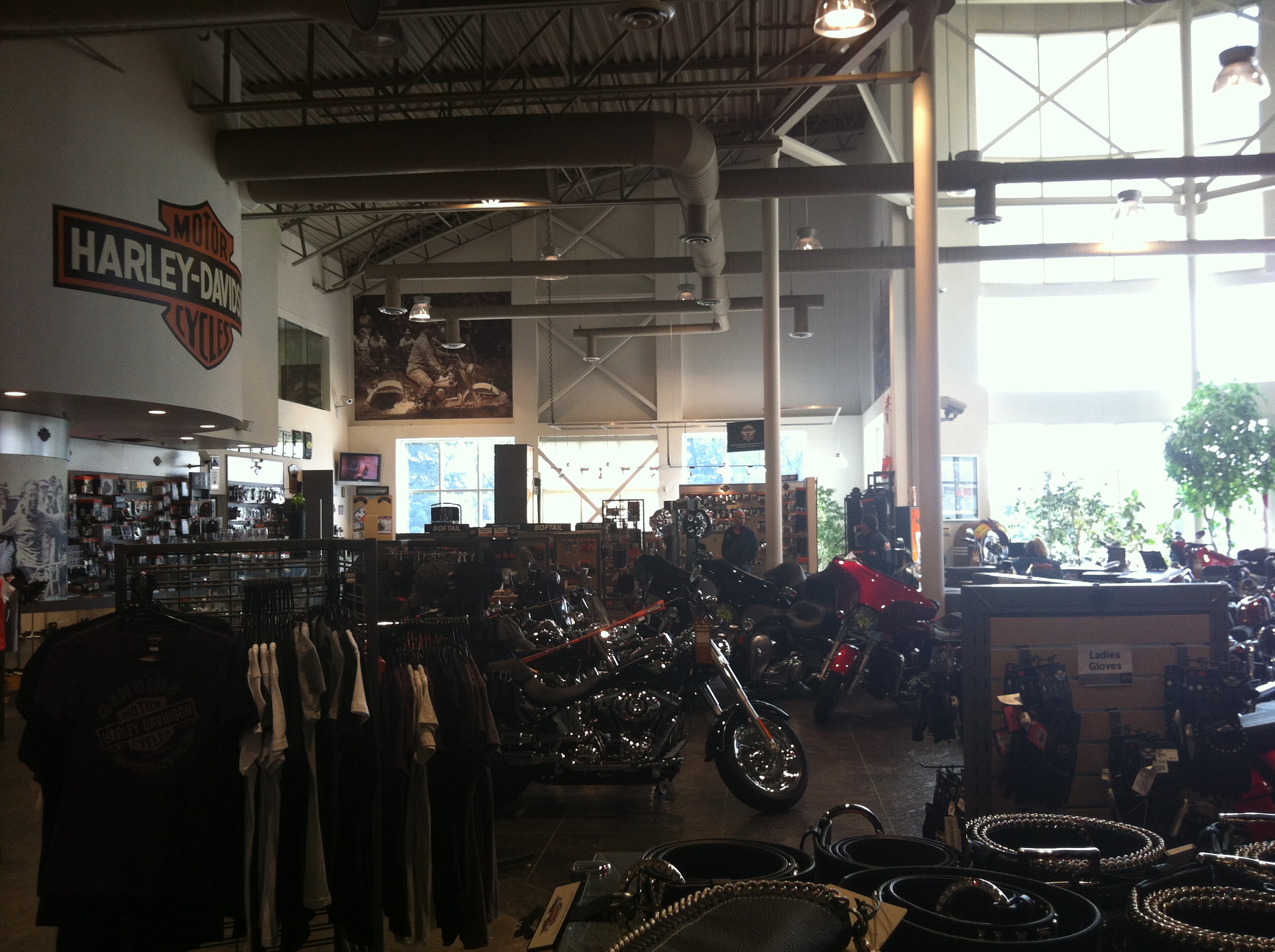 Pfaff Harley-Davidson gallery image 2
