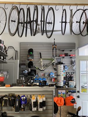 Bikes and Riders gallery image 2
