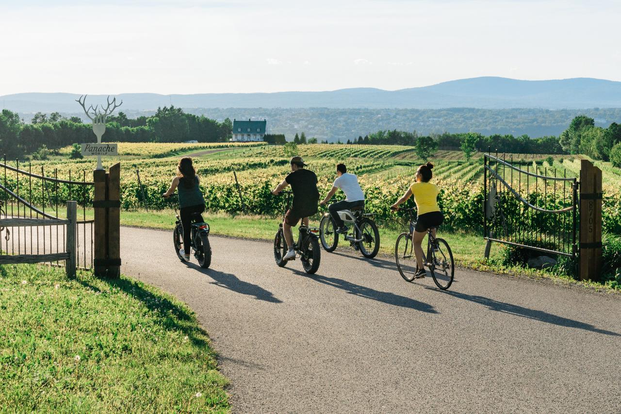 Quebec Aventure Tours gallery image 2