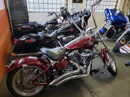 Redline Harley Davidson gallery image 2