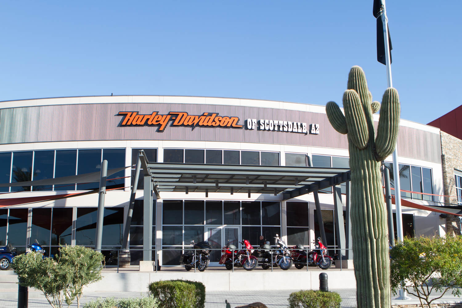 Harley-Davidson of Scottsdale gallery image 1
