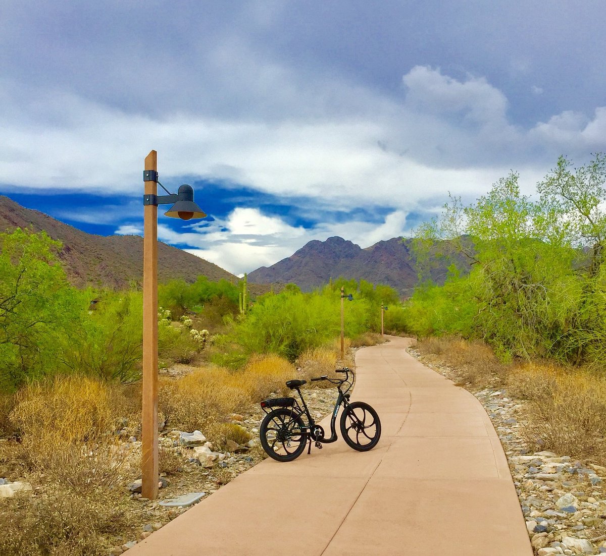Pedego Electric Bikes McDowell Mountain gallery image 2