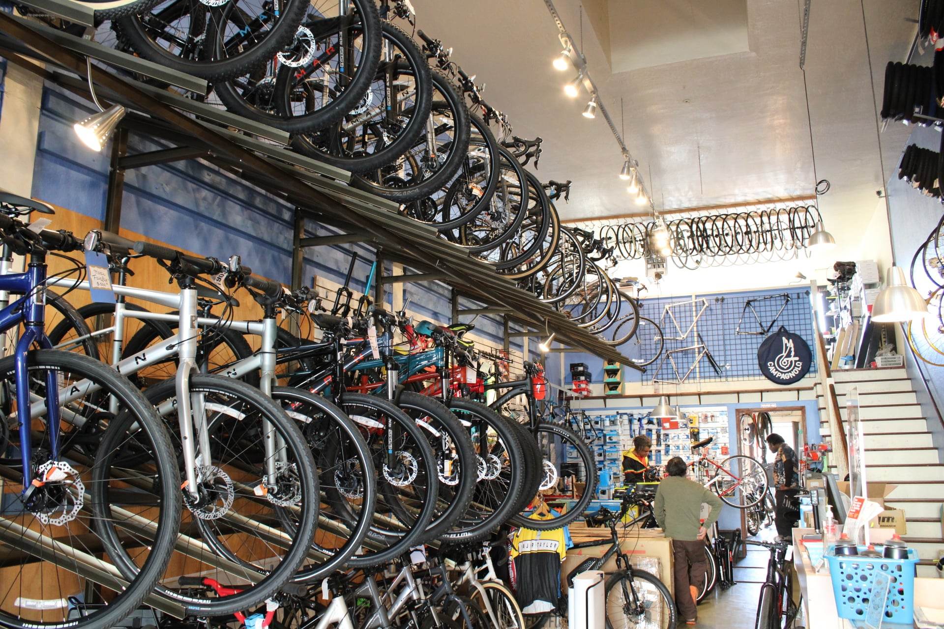 Ocean Cyclery gallery image 2