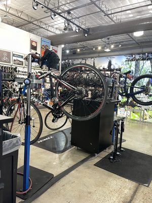 Trek Bicycle Houston West University gallery image 1