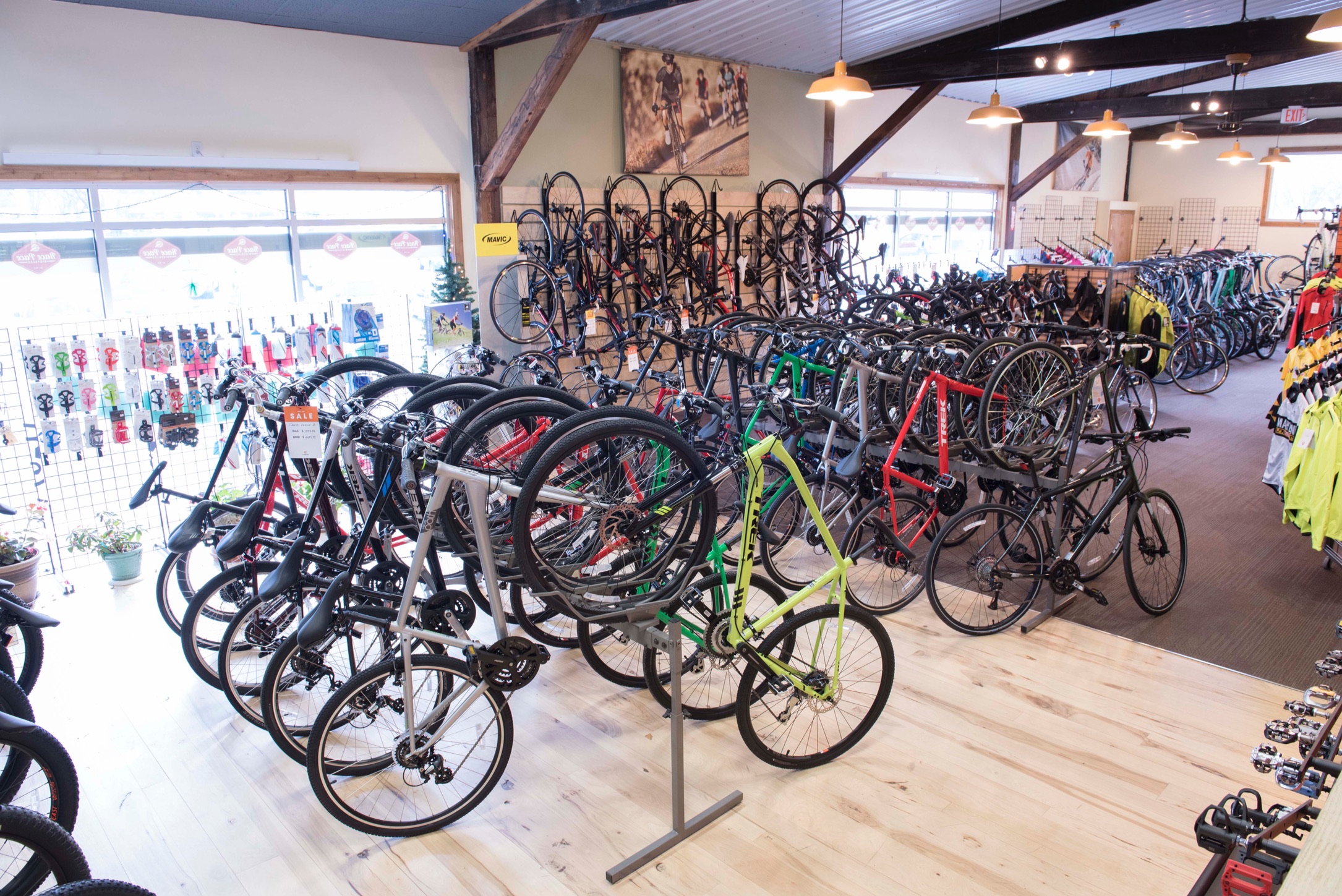 Trek Bicycle Westminster - Westminster | Levy Electric